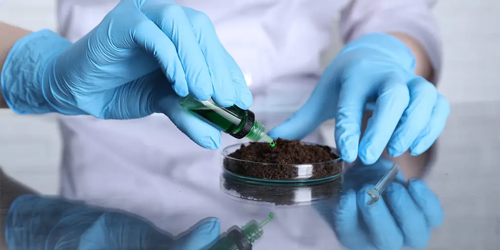 person wearing blue gloves dropping a green solution into a soil sample