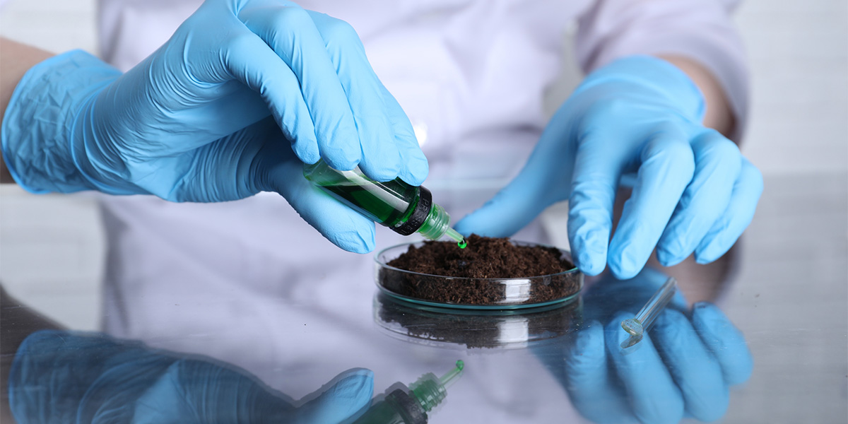 person wearing blue gloves dropping a green solution into a soil sample