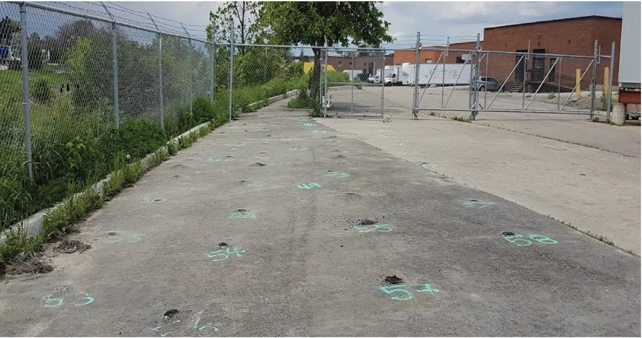 Vertex-Trap-Treat-BOS-100-Case-Study-20180918-2048x1080-1